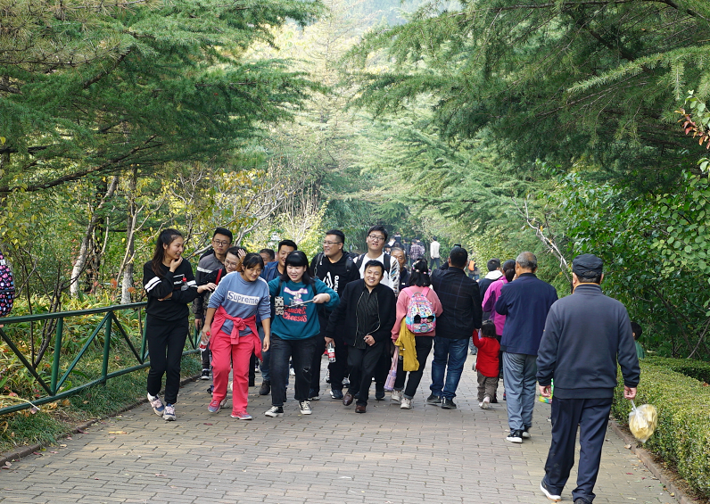微信图片_201911131040221.png